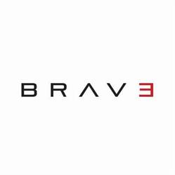 Brave Martial Arts Institute Inc.