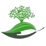 Premier Landscaping Lawn Care & Snow Removal