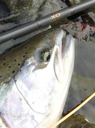 Nile Creek Fly Shop