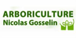 Arboriculture Nicolas Gosselin