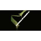 Les Finitions SD Jeannotte Inc