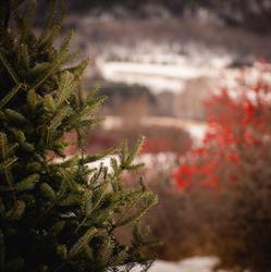 Les Plantations de la Baie