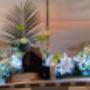 Photo Photo