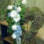 Photo Photo
