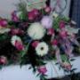 Photo Photo