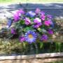 Photo Photo