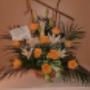 Photo Photo