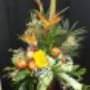 Photo Photo