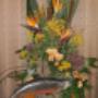 Photo Photo