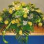 Photo Photo