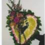 Photo Photo