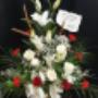 Photo Photo