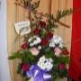 Photo Photo