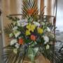 Photo Photo