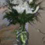 Photo Photo