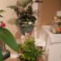 Photo Photo