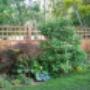 Photo Photo