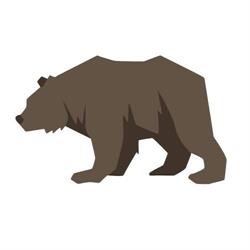 The Brown Bear Distribution Inc