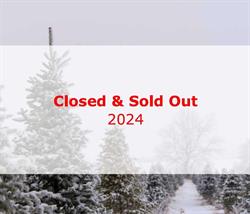 Maryhill Christmas Tree Farm