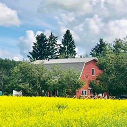Little Red Barn Gift & Cafe