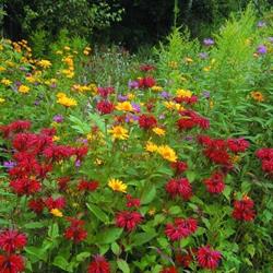 Les Jardins du Grand-Portage