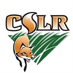 Centre scolaire Léo-Rémillard