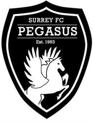 Surrey Football Club