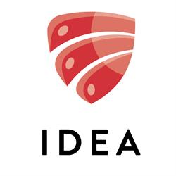 IDEA