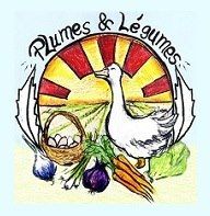Plumes et Légumes