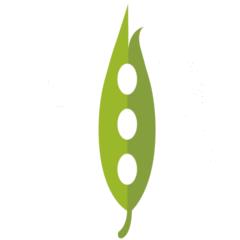 Épicerie Le Haricot Magique, Coop de Solidarité
