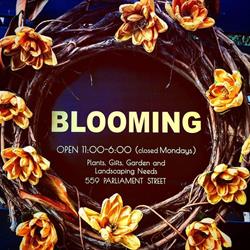Blooming Flower Bar