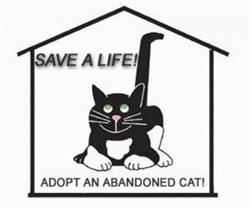 Abandoned Cats Rescue