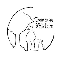 Domaine d'Histoire