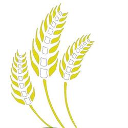 Prairie Chiropractic and Wellness