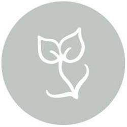 Anchored Wellness