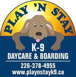 Play 'N Stay K-9 Daycare and Boarding