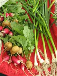 Inglewood Farmers' Market