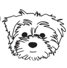 Toilettage et Boutique Puppy Country inc