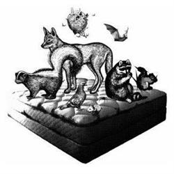 Feral Peril Wildlife & Pest Control Inc.