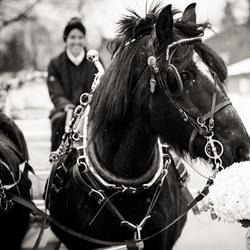A Universal Carriage