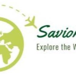 Savior Tours
