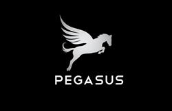 Pegasus Imagery
