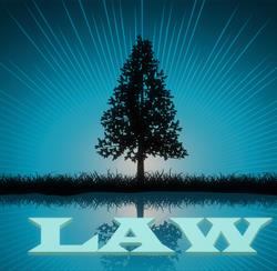 One Evergreen Law