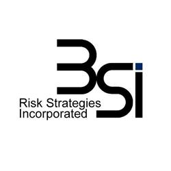 3Si Risk Strategies Inc.