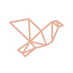 The Beauty Collective