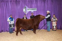 After Hours Limousins