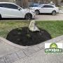 Mulch Installation in Hamilton, Ontario Mulch Installation in Hamilton, Ontario