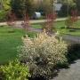 Photo Photo