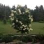 Photo Photo