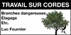 Arborica